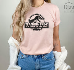 Pre-K Teacher Shirts, Funny Pre-k Shirts , Pre-K Teacher Shirt Gift, Pre K Dinosaur Shirt , Teacher Shirt Gifts, Teacher Appreciation Gifts