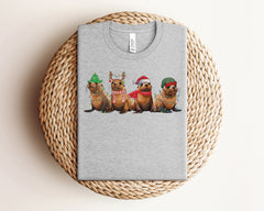 Sea Lions Christmas Shirt, Cute Christmas Animals Shirt, Monk Seal Tshirt, Animal Love Tshirt, Sea Lion Shirt, Winter Shirt, Christmas Gifts