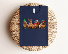 Sea Lions Christmas Shirt, Cute Christmas Animals Shirt, Monk Seal Tshirt, Animal Love Tshirt, Sea Lion Shirt, Winter Shirt, Christmas Gifts