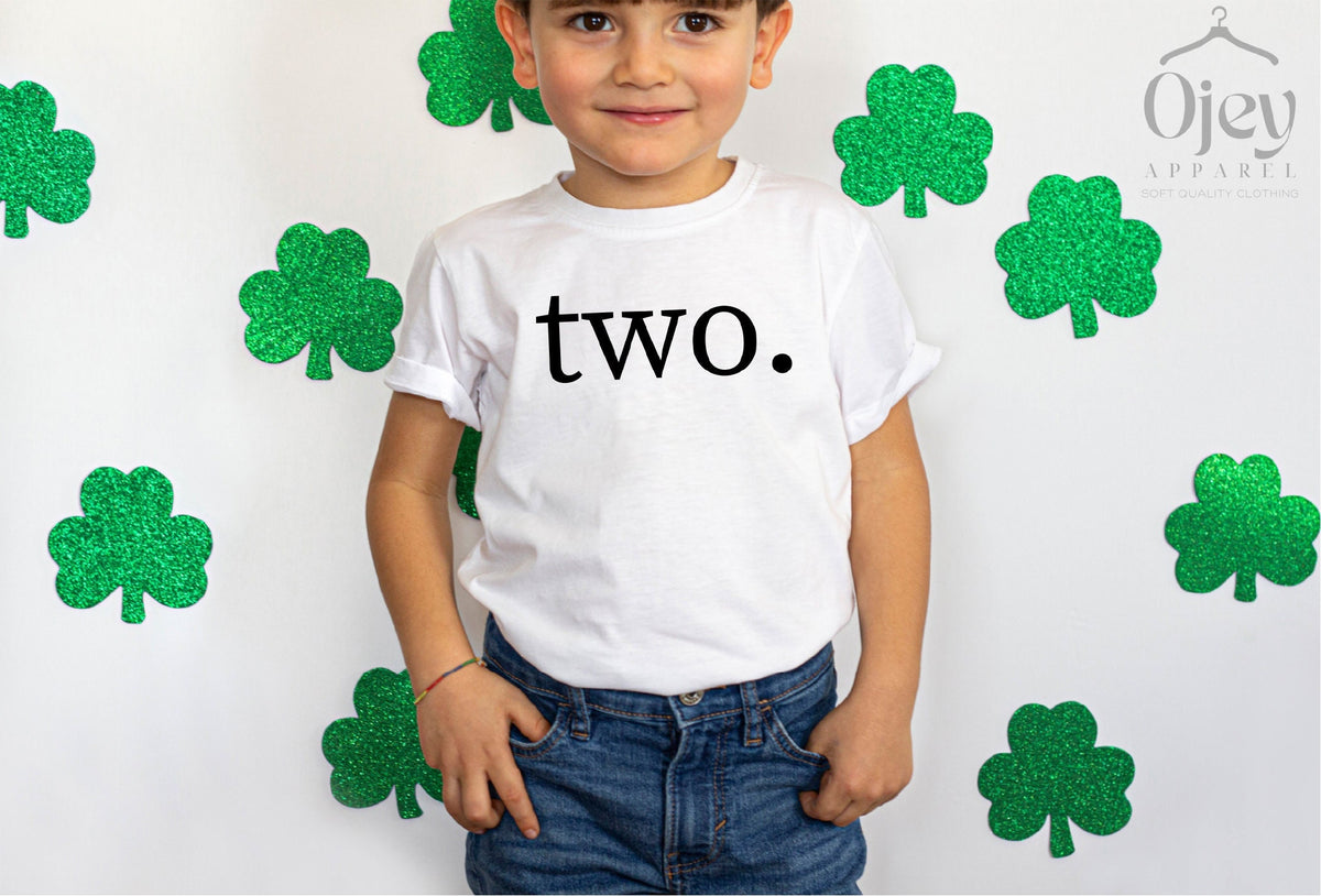 Two Birthday Shirt, 2nd Birthday Shirt Girl, Second Birthday Shirt Boy, Cute Birthday Tshirt, 2nd Birthday Outfit, Toddler Birthday Gift