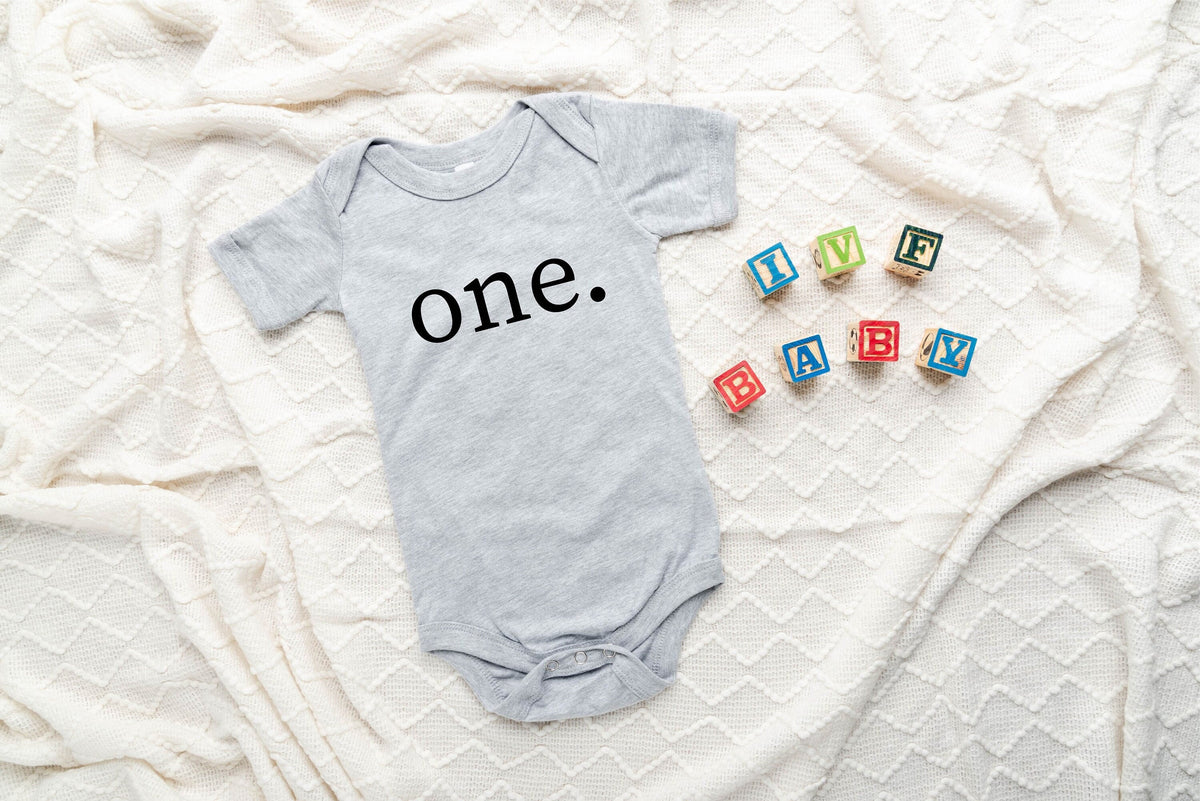 One Birthday Shirt, Bodysuits For Babies, First Birthday Outfit, Toddler Birthday Shirt, Baby Bodysuit, Cute Birthday Shirt, 1st Birthday