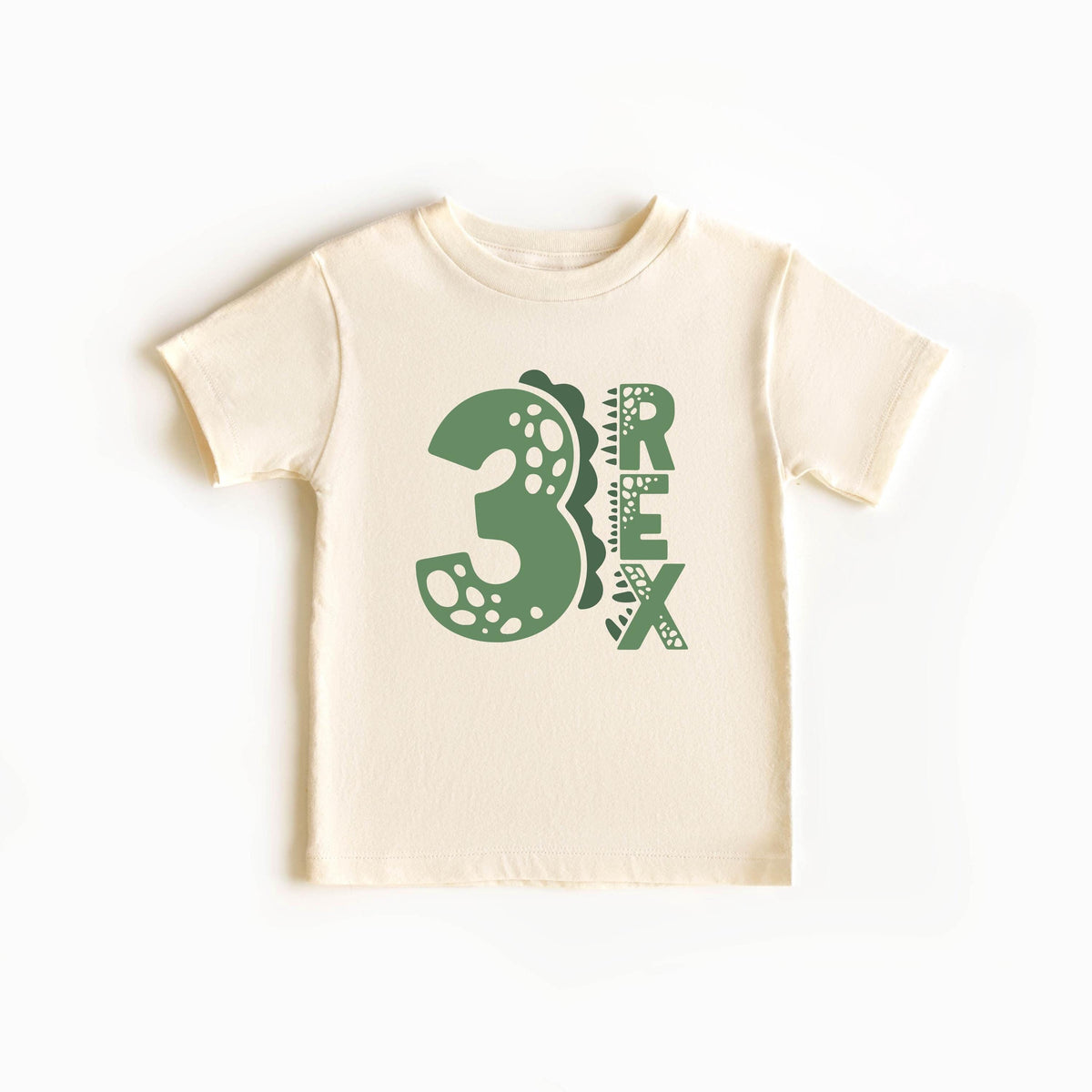 Dinosaur Rex Birthday Shirt - Custom Dinosaur Shirt - Dino Birthday Party Tee - 2nd Dino Birthday - 1st Dino Birthday - Dino Birthday Outfit
