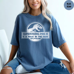 Comfort Colors® Dinosaur Teacher Shirt, Pre-K Teacher T-Shirt, Supervising Teacher Dinosaur Shirt, Funny Teacher Shirt