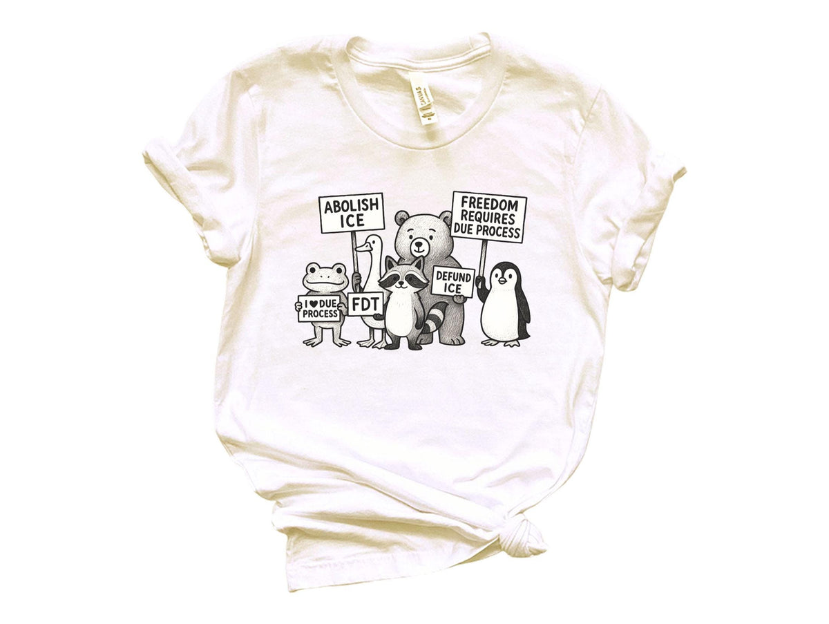 Freedom Requires Due Process - FDT - No Human Is Illegal Shirt - Political Protest - Human Rights Tee - Pro Immigration - Social Justice