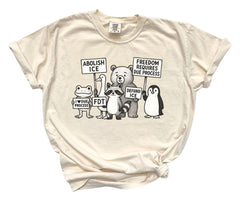 Comfort Colors® Freedom Requires Due Process - FDT - No Human Is Illegal Shirt - Political Protest - Human Rights Tee - Pro Immigration