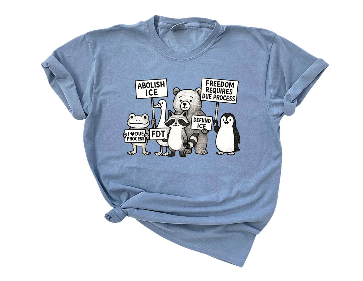 Comfort Colors® Freedom Requires Due Process - FDT - No Human Is Illegal Shirt - Political Protest - Human Rights Tee - Pro Immigration
